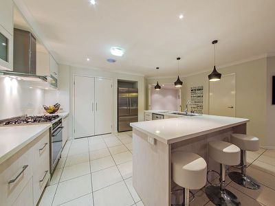10 Brush Box Place, Wakerley