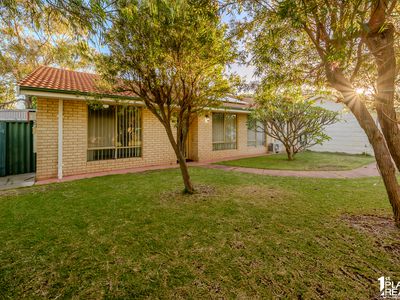 41 Cuthbertson Drive, Cooloongup