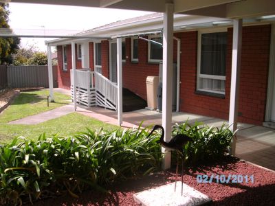 10 Mahoney Avenue, Mount Gambier
