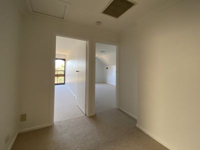 24 Malvern Grove , Caulfield North