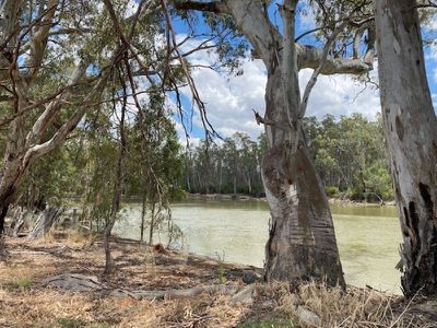 37 Riverview Drive, Barham