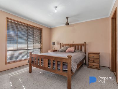 33 Zegelin Road, Rochester
