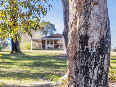 3 Sylvia Court, Mallacoota