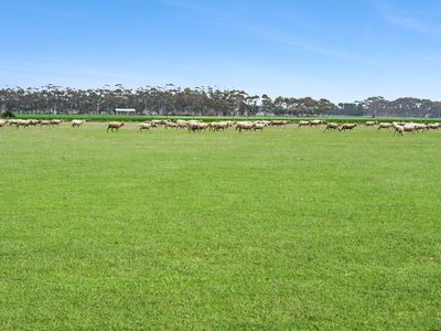 1218 Lower Darlington Road, Lismore