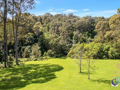 490 Punkalla Tilba Rd, Central Tilba