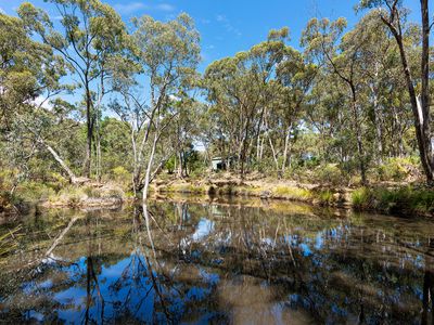 5 Pink Lady Lane, Harcourt