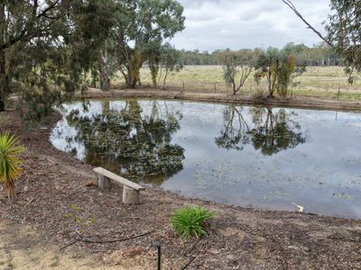 11 WHIRLPOOL LANE, Murrabit