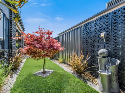 61 Serene Way, Clyde North