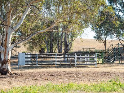 46 Gillmans Road, Cornishtown