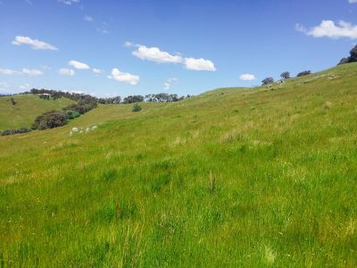. Spring Gully Road, Wodonga
