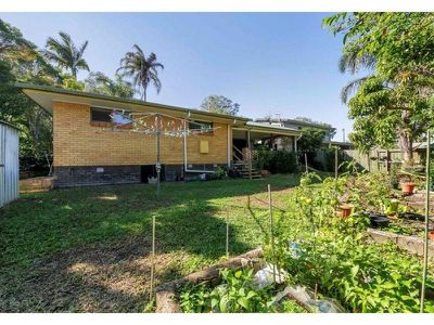 66 Goodchap Street, Noosaville