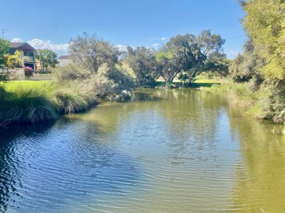 40 Governor Drive, Falcon