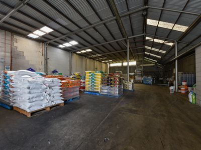 The Produce Store