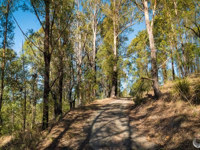 Lot 22 Barrabaroo Road, Cobargo