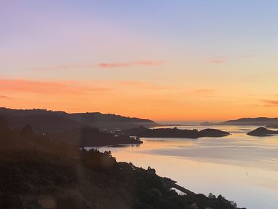 25 Kakapo Street, Saint Leonards