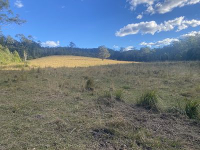 Lot 94, 2667 Pappinbarra Road, Pappinbarra
