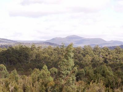 7736 Huon Highway, Strathblane