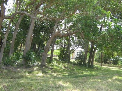 55 Charlotte Street, Cooktown