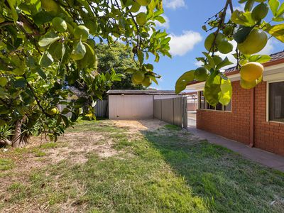 16 Brumby Place, Armadale