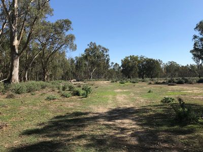 14 / Edward River Road, Moulamein