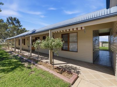 66 Londrigan-Tarrawingee Road, Londrigan