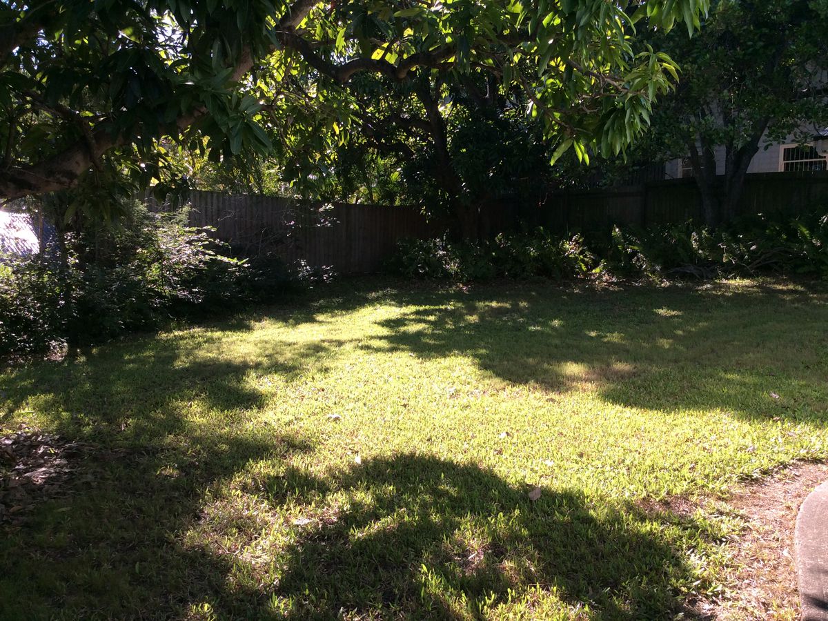 28 Rees Avenue, Coorparoo