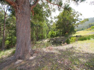 57 Martins Road, Petcheys Bay