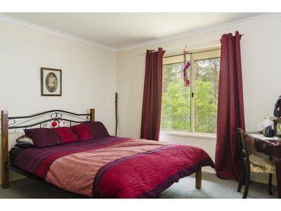 90 Blueberry Drive, Black Mountain