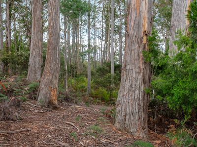 277 Sky Farm Road, Deep Bay