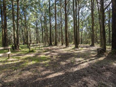 701 Sandy Creek Road, Riddells Creek
