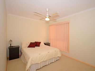 24 BUSHLARK AVENUE, Eli Waters