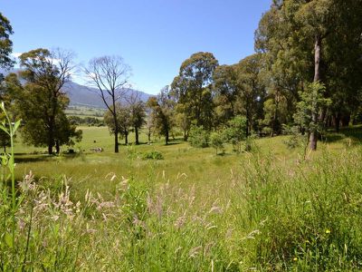 3 Diggings Road, Tawonga