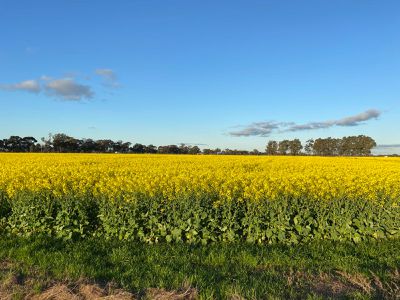2015 McEwen Road, Kyabram South
