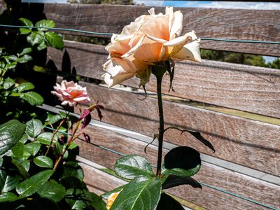 15 Okely Road, Carine