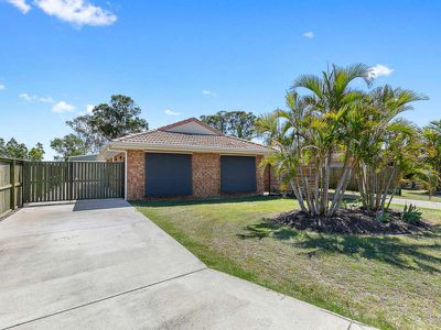 66 Ibis Boulevard, Eli Waters