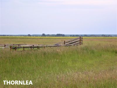 581 Mount Hope Road, Millicent