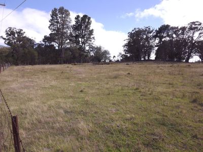 Lot 31, Silentgrove Road, Torrington