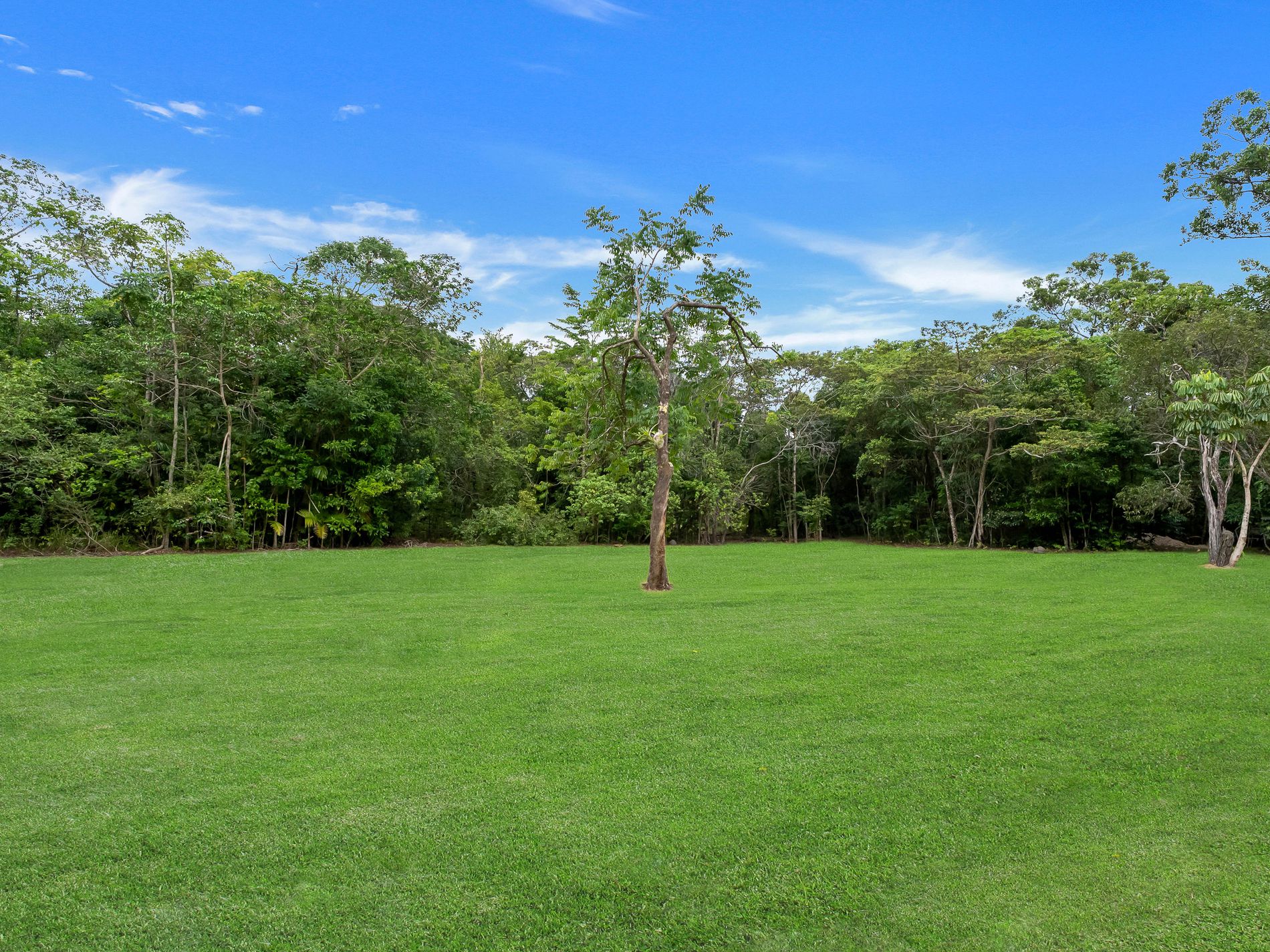 1441 Pine Creek Road, East Trinity