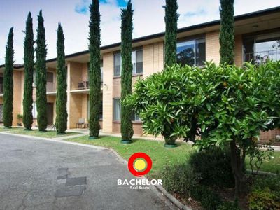 3 / 3 Macklin Street, Parkside