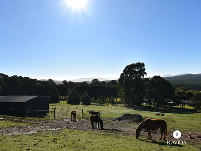 25 Duffy Lane, Stanley