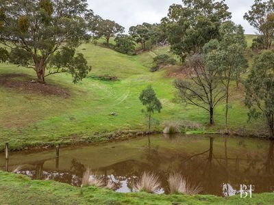 40 Searles Lane, Reedy Creek
