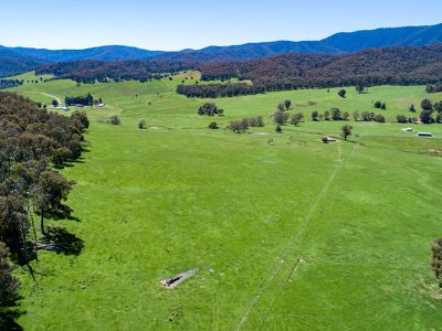 3724 Tallangatta Creek Road, Tallangatta Valley
