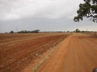 Pine View