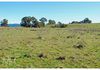 Lot 1, 34 Long Swamp Road, Forest Reefs