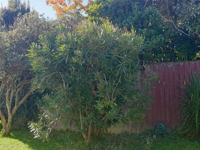 39 Redwood Avenue, Tawa