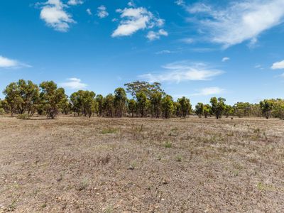 Lot 3 Lot 3 Dealba Road, Mount Camel