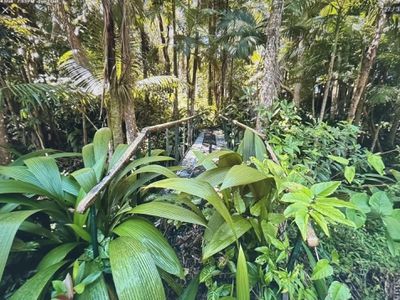 717 Old Tully Road, Djarawong