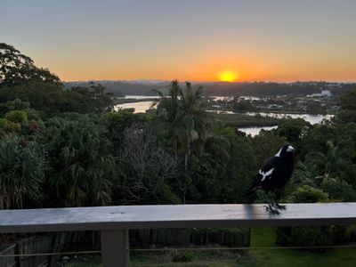 48 Hillcrest Avenue  , Tweed Heads South