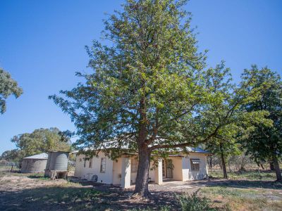 Lot 1, 115 Shelleys Road, Cornishtown