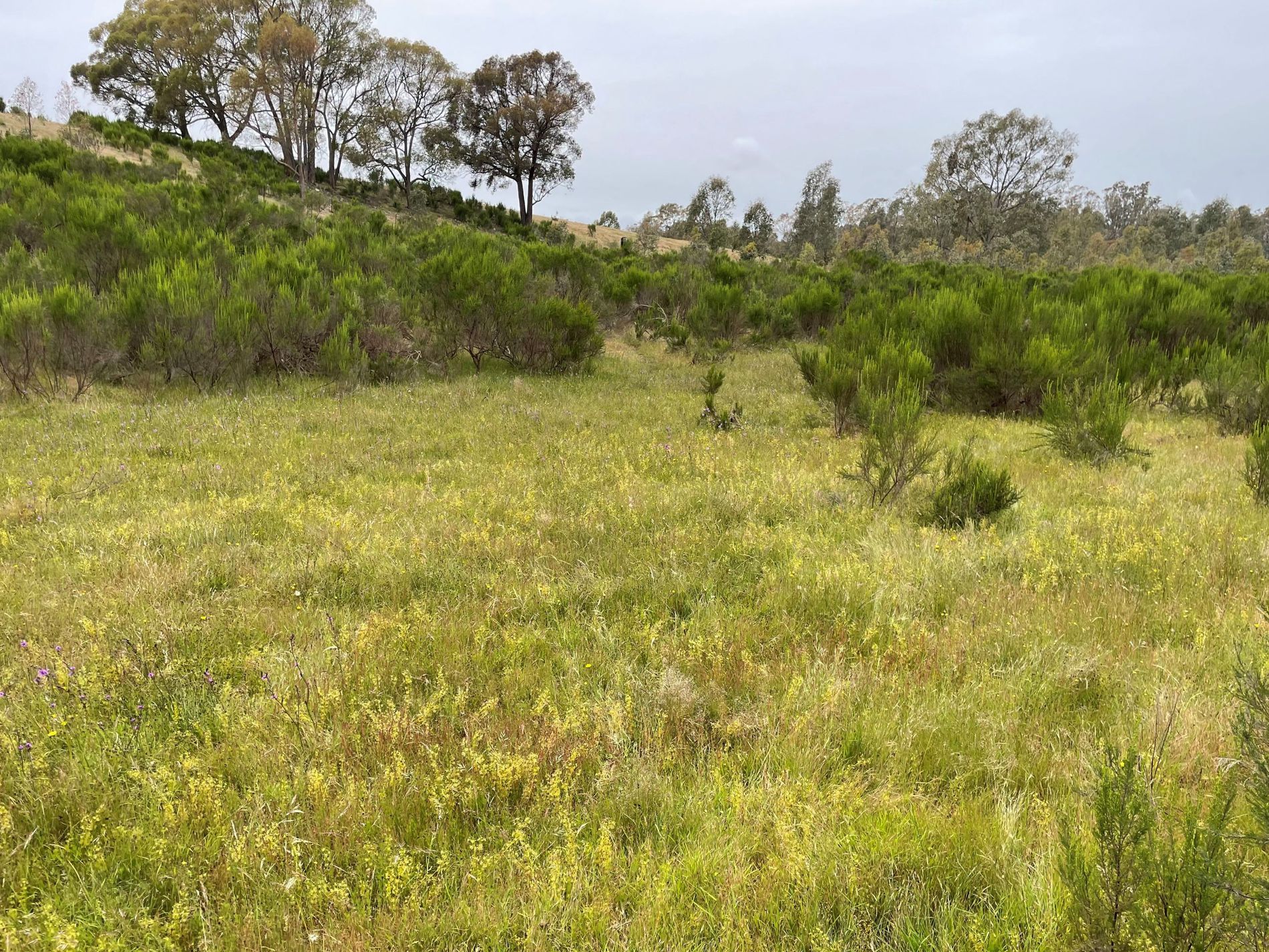 Lot 12 Heathcote-Nagambie Road, Moormbool West